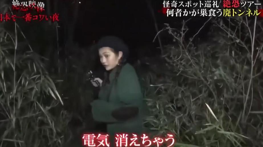 《世界恐怖之夜》2019：穿越时空的恐怖之旅，探索恐惧的极限世界
