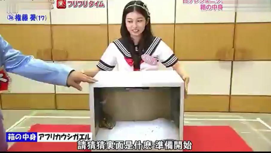 《偶像的穴》全集：无人能出奇制胜，压轴的女子偶像你见过吗？