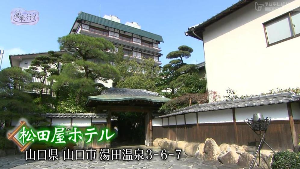 真实体验！《再去温泉吧》观看，深度剖析日本温泉文化