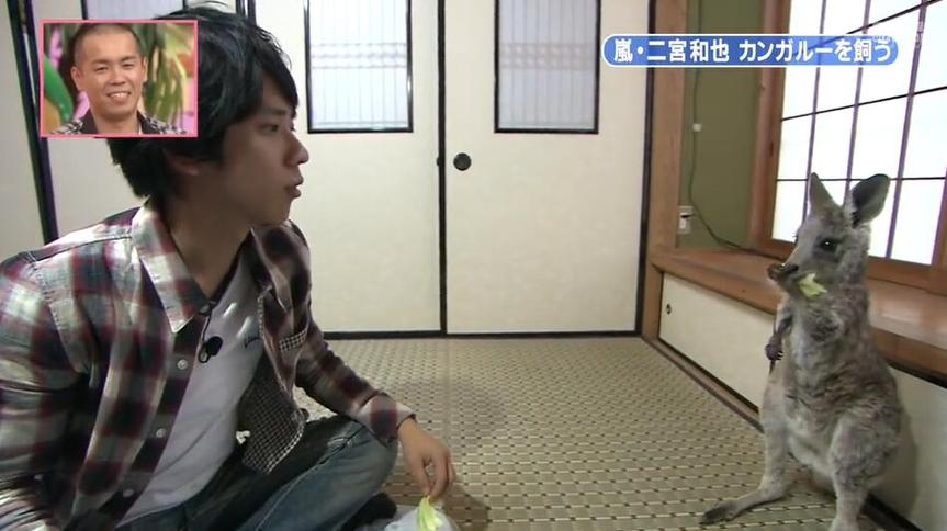 猜歌舞蹈应援解谜王？日本综艺模仿秀你会玩吗？